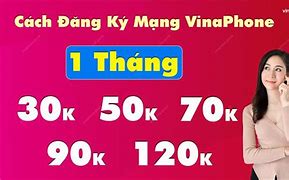 Cách Đk Mạng Vina 1 Tháng