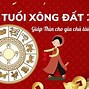 Năm 2023 Con Gì Xông Nhà Đẹp Nhất