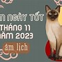 Tháng 11 Năm 2023 Có Bao Nhiêu Ngày