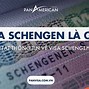 Visa Nhật Đi Được Những Nước Nào